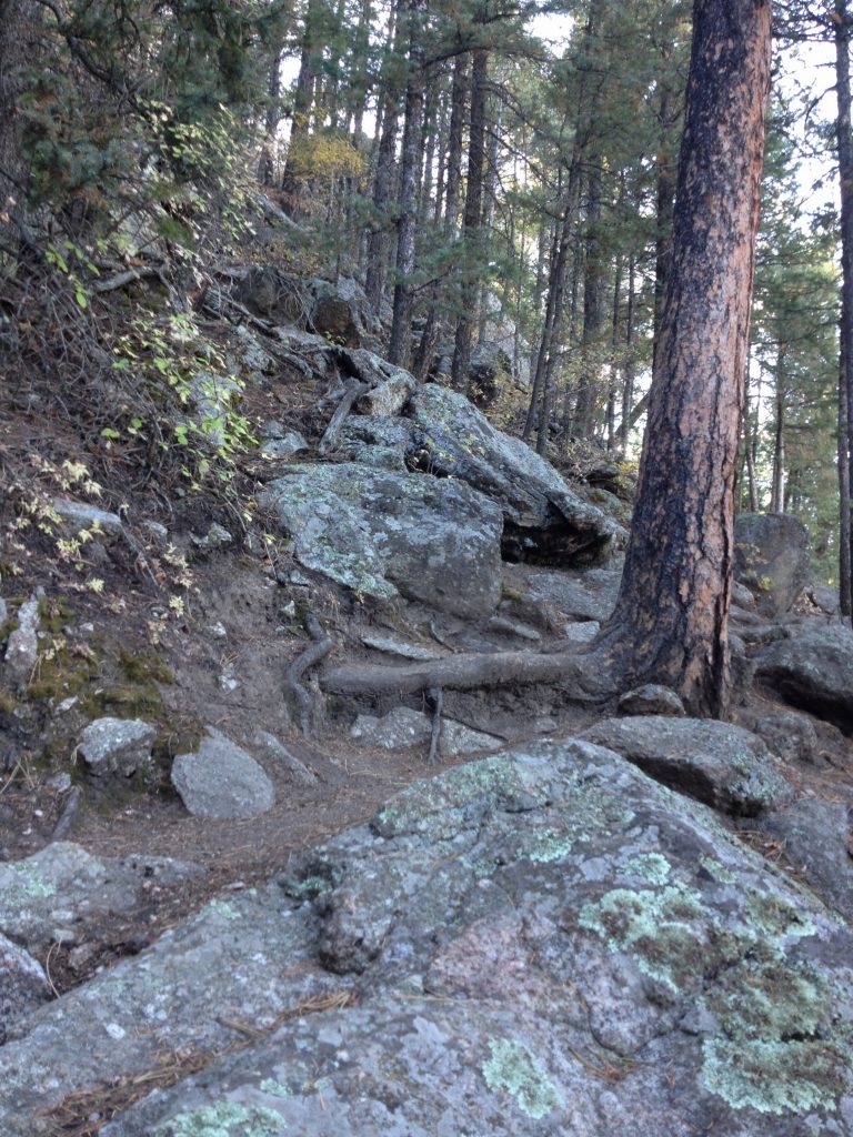 Along the Catamount Trail