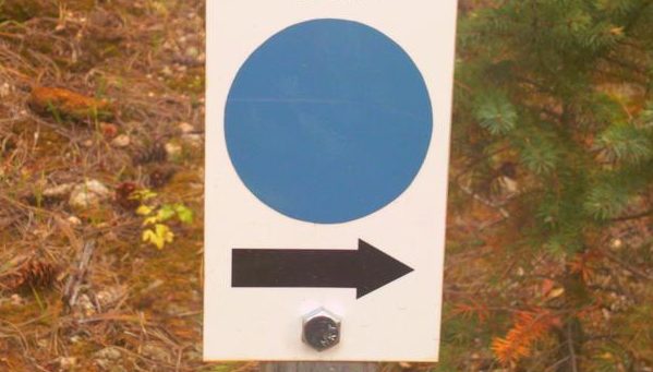  Blue Dot Trail Marker with Arrow